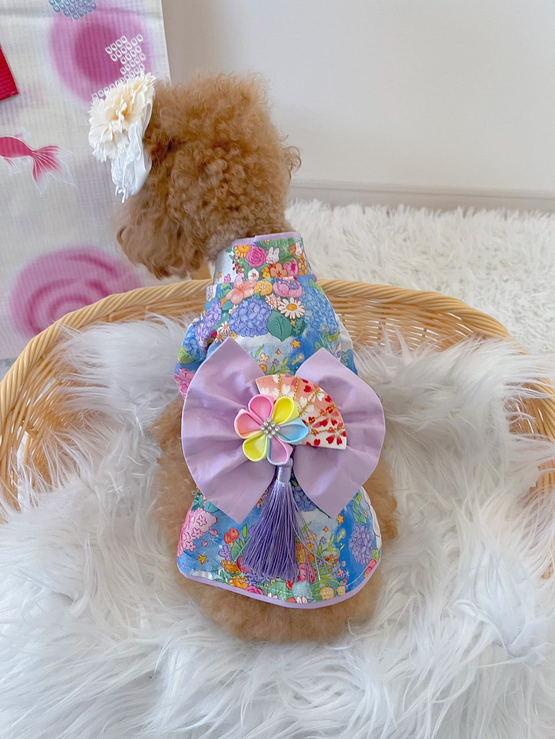 작은 개를위한 Taniwina Hydrangea Pattern Yukata