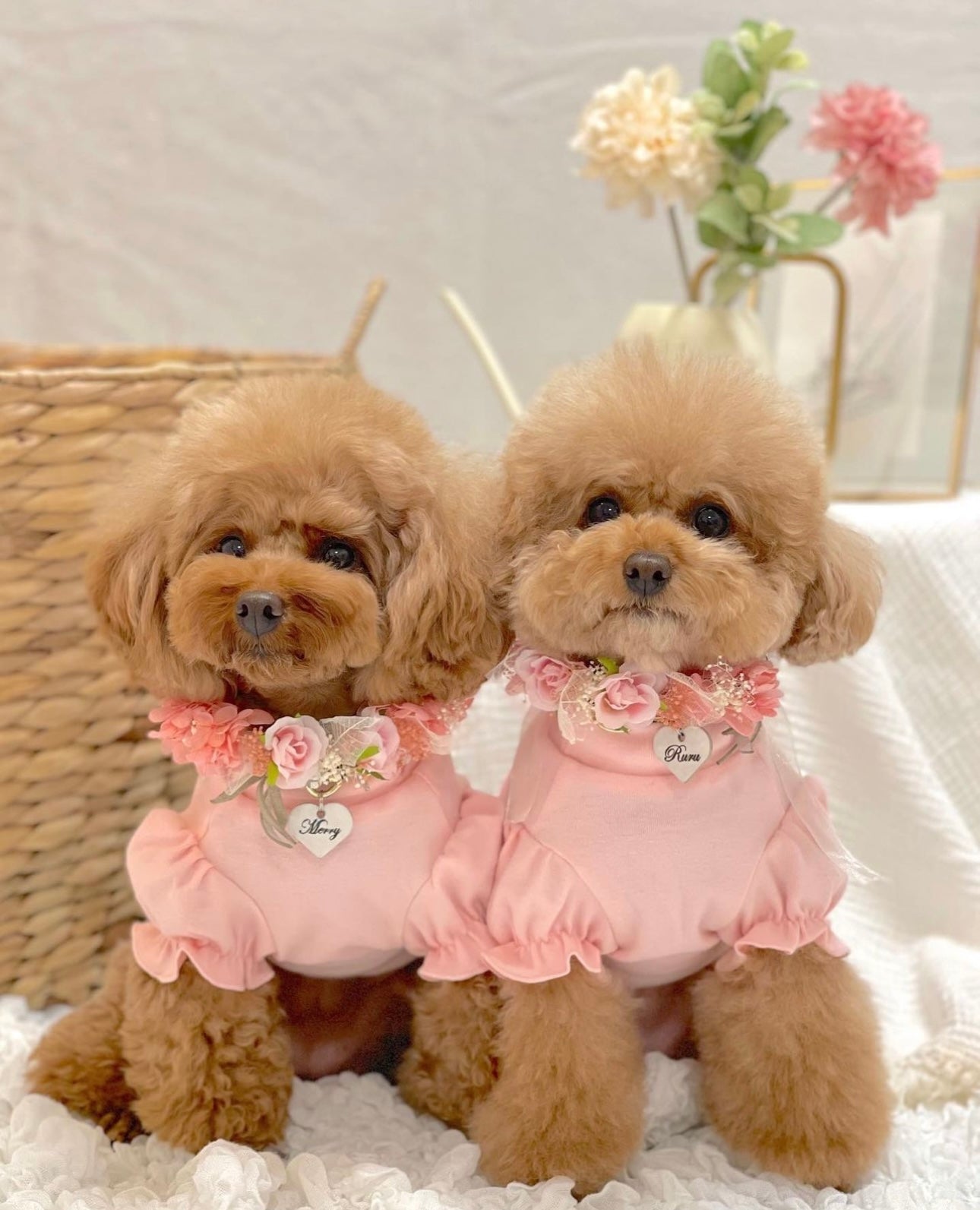 Soft Pink Puff Sleeve Pet Shirt with Embroidered Details