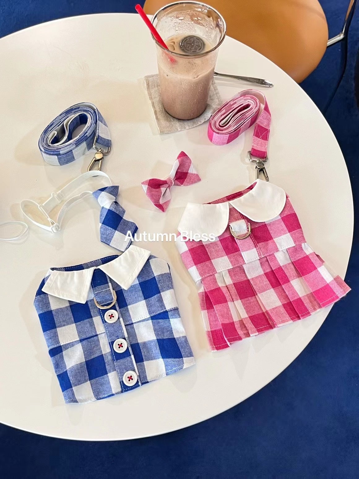 가을 축복 격자 무늬 드레스와 하네스 세트 - Pink & Blue Collection