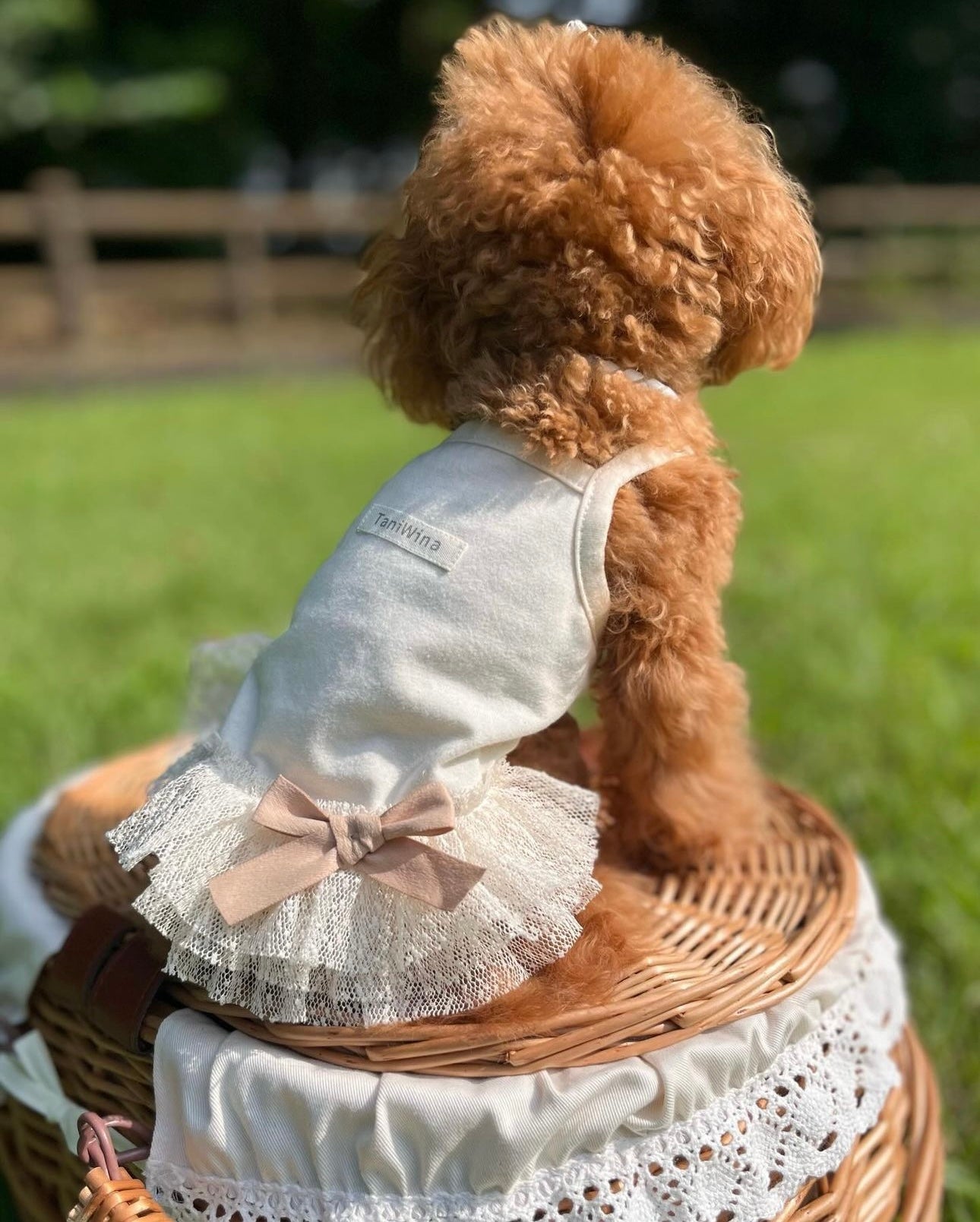タニウィナのペットの服星の綿のプリンセスサスペンダースカートのための小さな犬の服