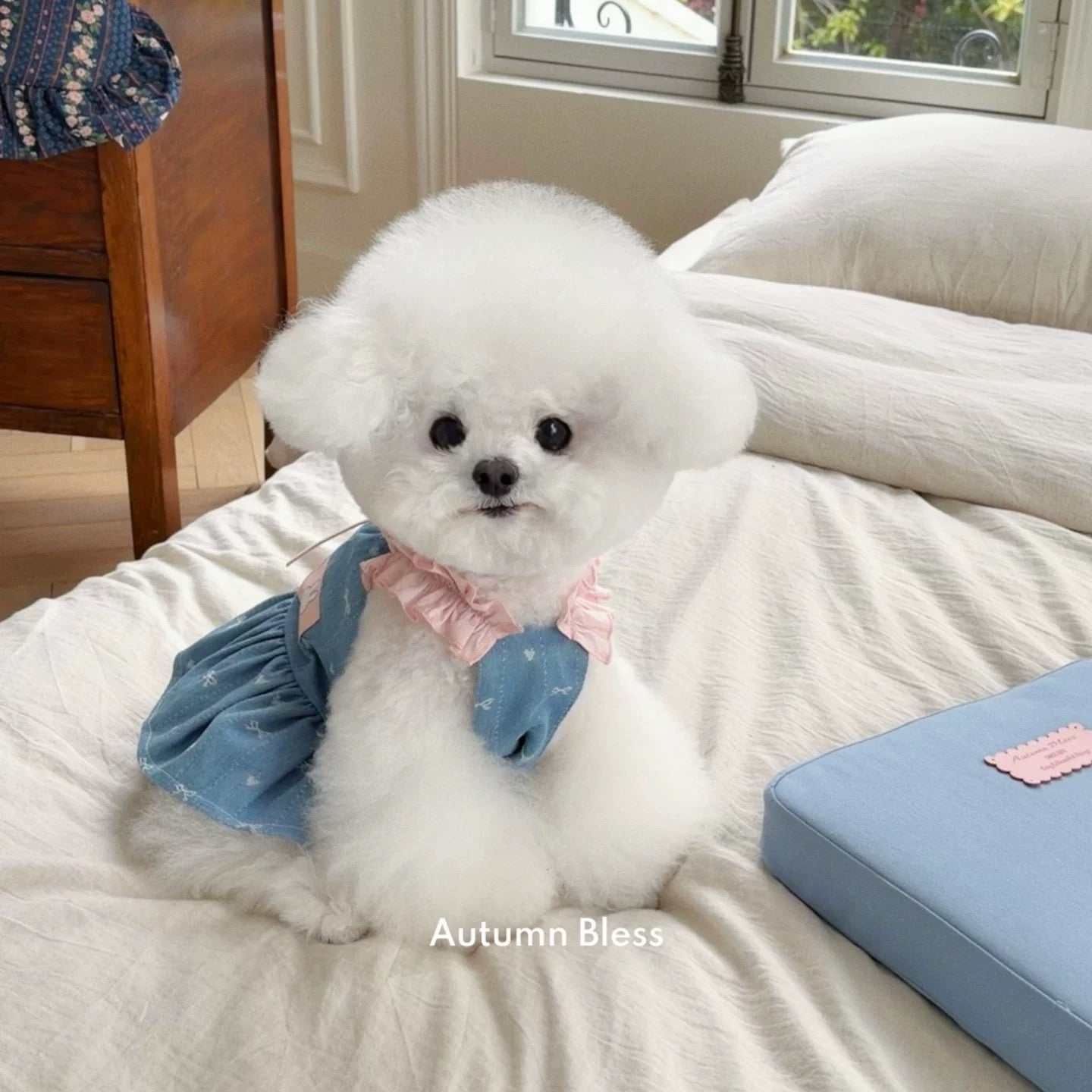 Autumn Bless ヴィンテージフローラルデニムシリーズ