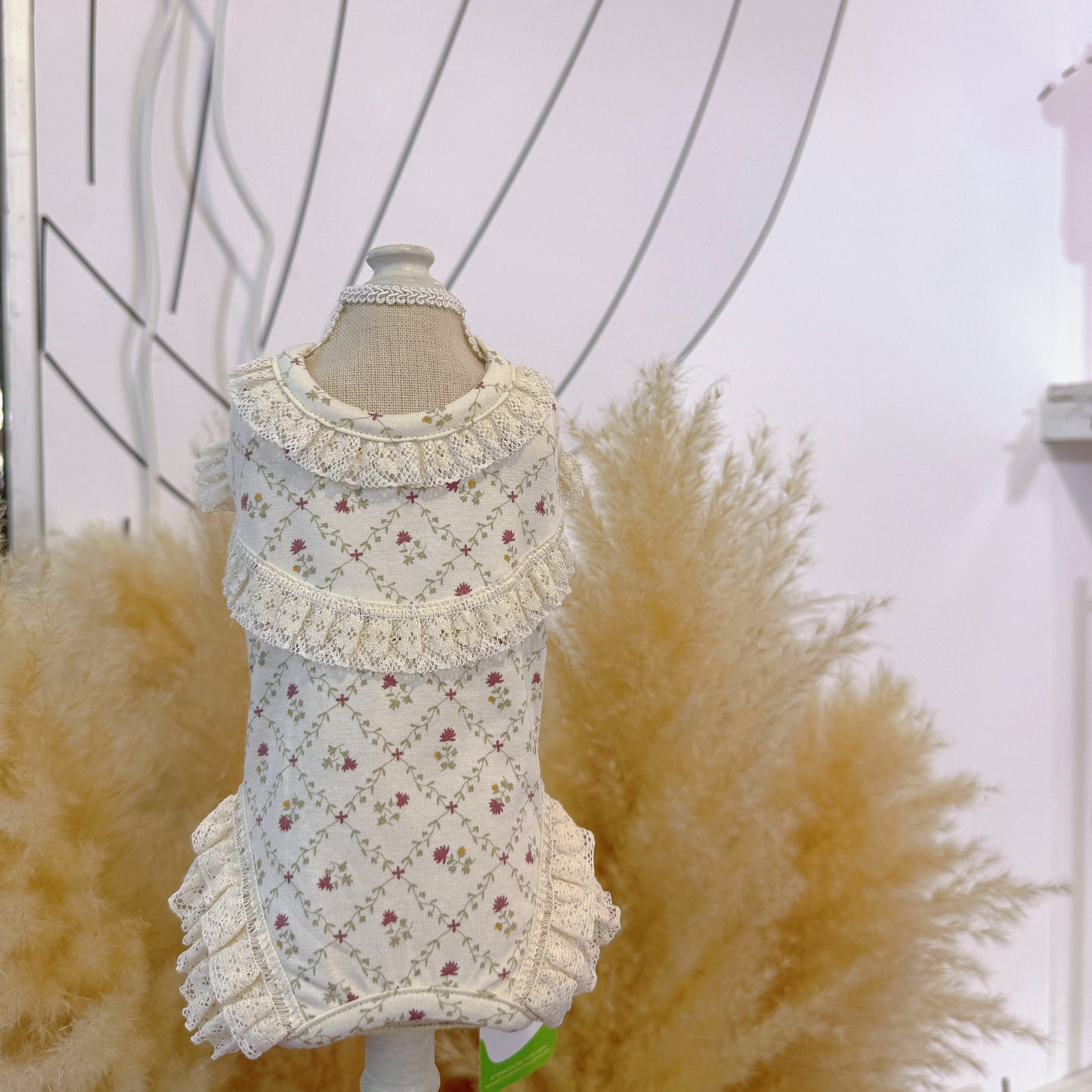 Taniwina ecocosy 레이스 롬퍼