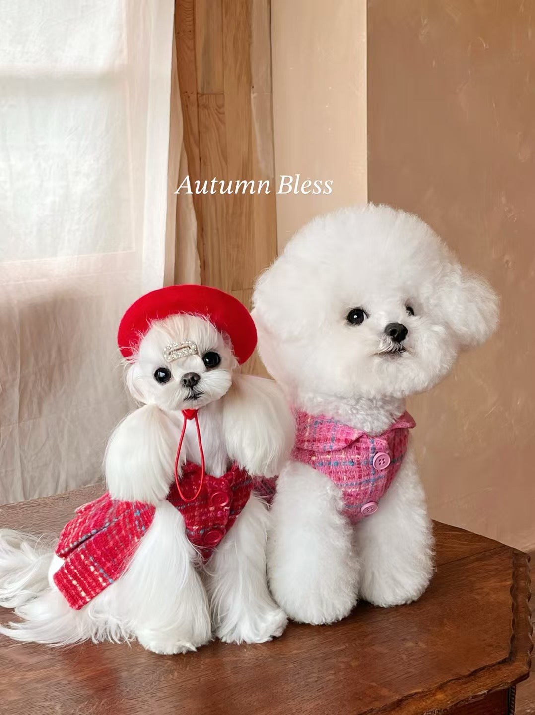 Autumn Bless エレガントなツイードドレスとベレーのコンボ