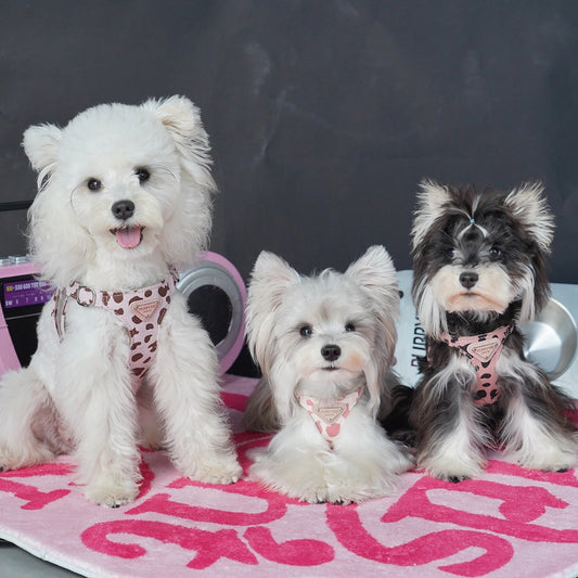 Puppytie【小型犬・猫用】牛柄ハーネス＆リードセット｜甘かわデザインでお散歩をもっと楽しく｜Cow-Pattern Dog & Cat Harness with Leash | Cute Small Pet Harness