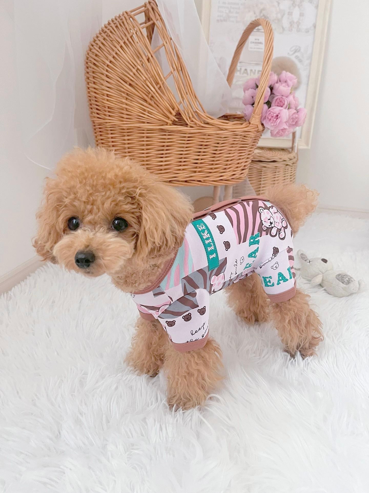 Taniwina Jungle Pawsアドベンチャーワンシー