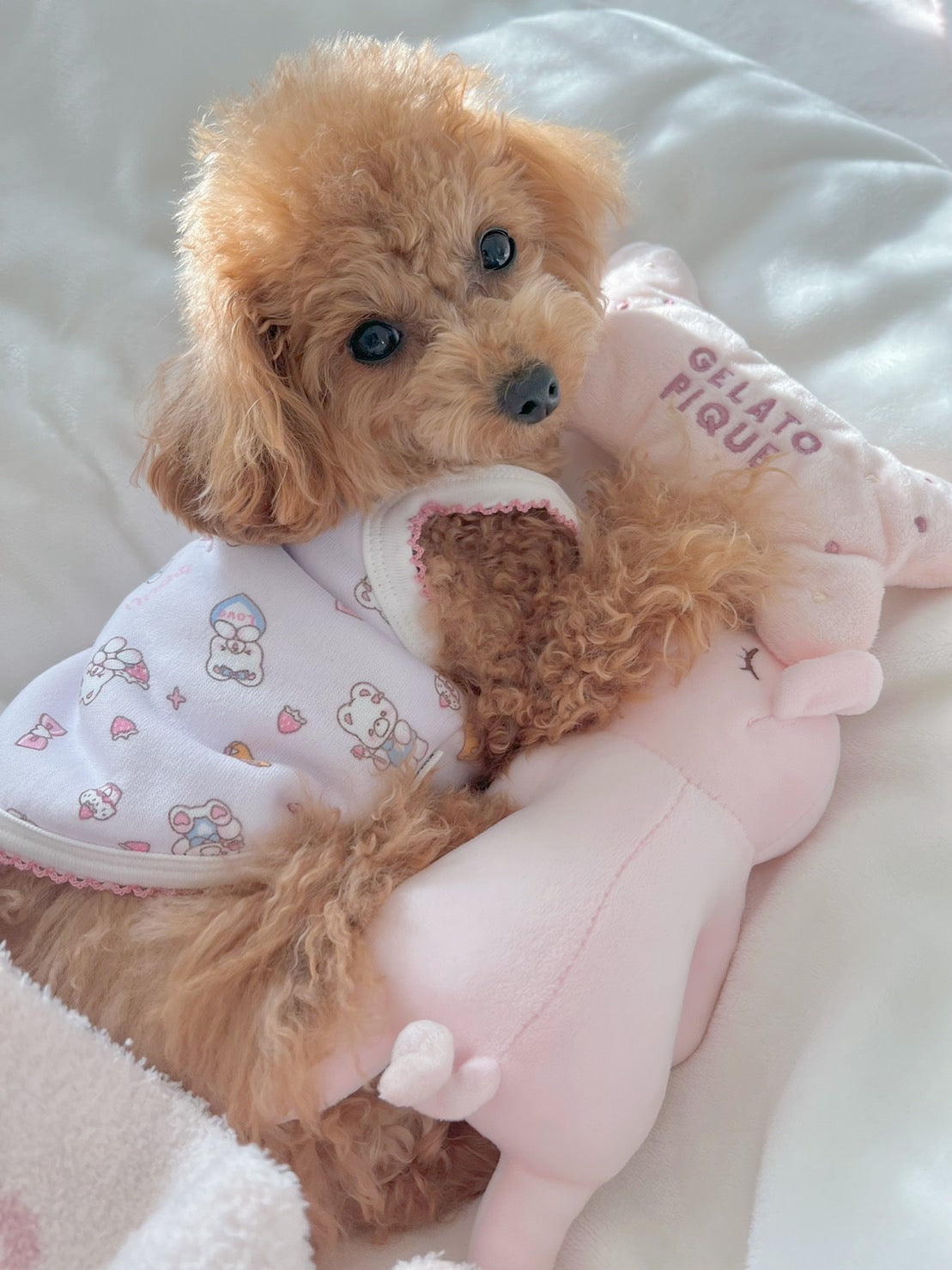 궁극적 인 가정 편안