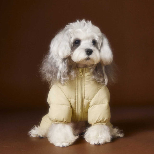 Tawney Bear Bear Ear Down Snowsuit for Small Dogs