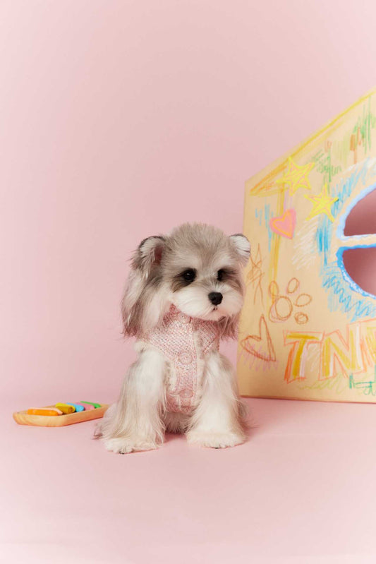 Tawney Bear Reversible Cozy Dog Outerwear (Pink and White Version)