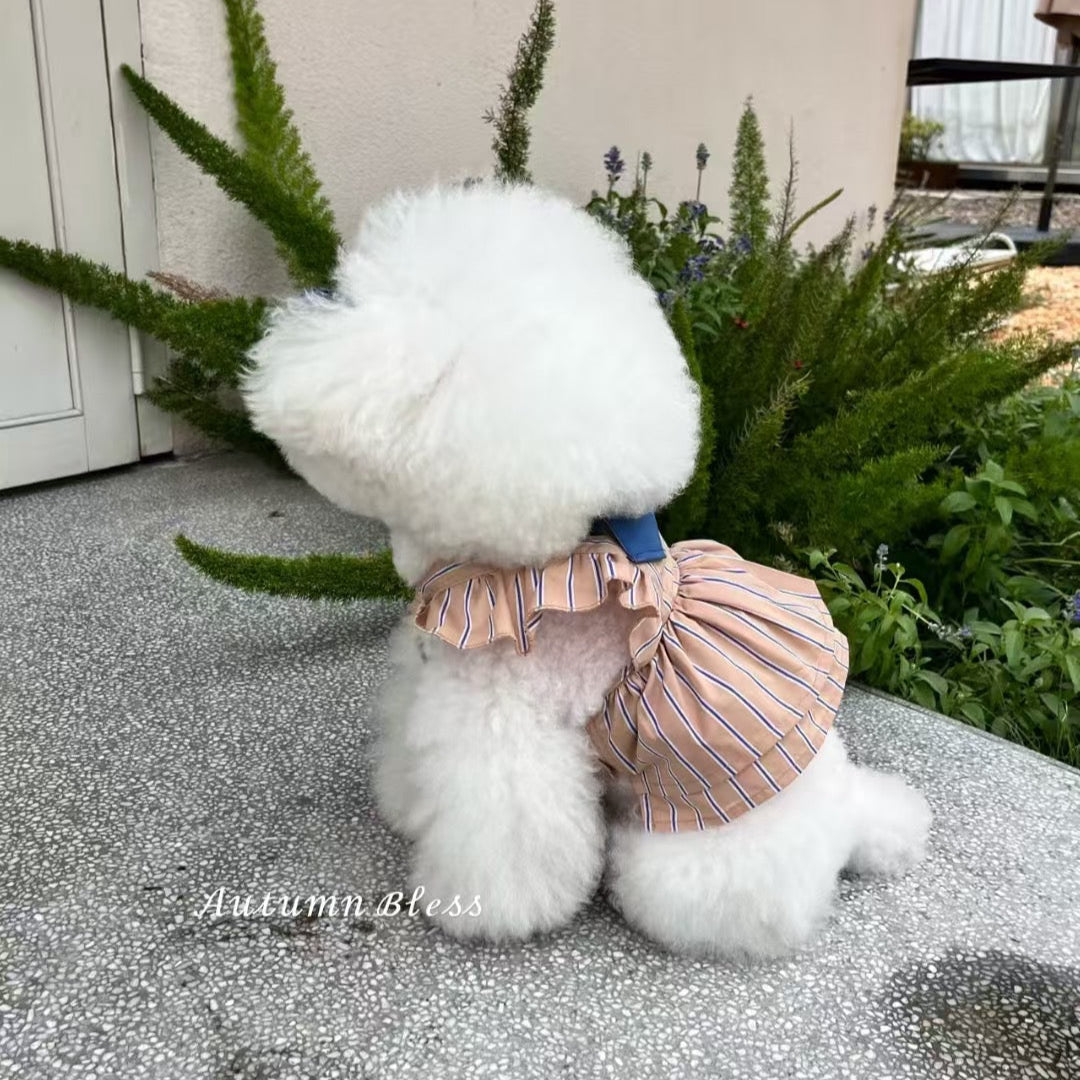 Autumn Bless ストライプリボンドレス（単品・ヘアアクセセット）| Striped Ribbon Dress (Single or with Hair Clip Set)