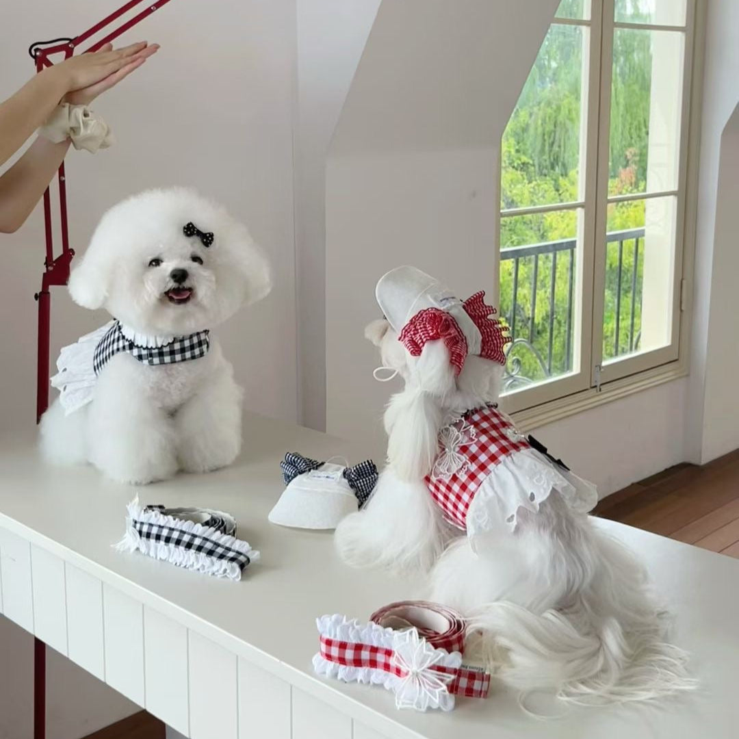 Autumn Bless チェックリボンキャップ＆レースリード | Checkered Ribbon Cap & Lace Leash