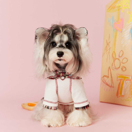 Tawney Bear Layered Look Plaid Dog Dress