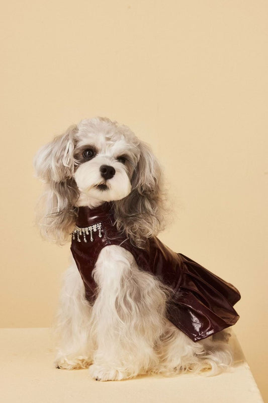 Tawney Bear  Autumn Chic Sleeveless Faux Leather Pet Dress