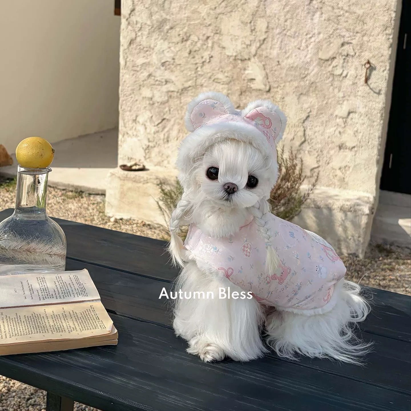 Autumn Bless ふわもこ冬あったかジャケット – テディ柄／キルティングブルー | Furry Cozy Winter Jacket – Teddy Print & Quilted Blue