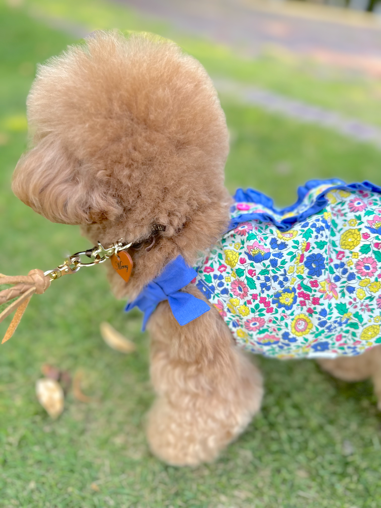 タニウィナの花柄のプリントボタン付き首輪ドレス小さな犬用