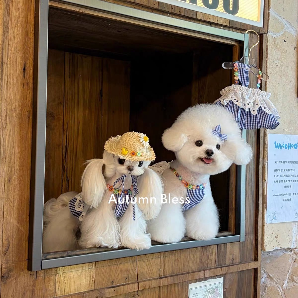 専用ページです アトリエGG 犬用 花柄 レースワンピース Autumn Bless デイジーサマー レースワンピース｜小型犬用 ギンガム