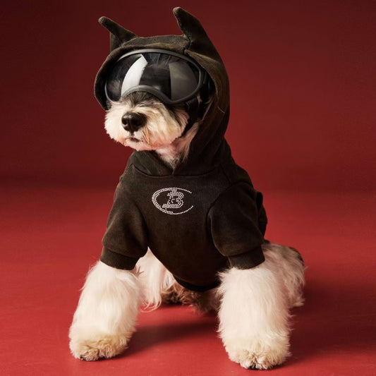 Tawney Bear Haunted Bat Ears Rhinestone Hoodie - Washed Halloween Edition