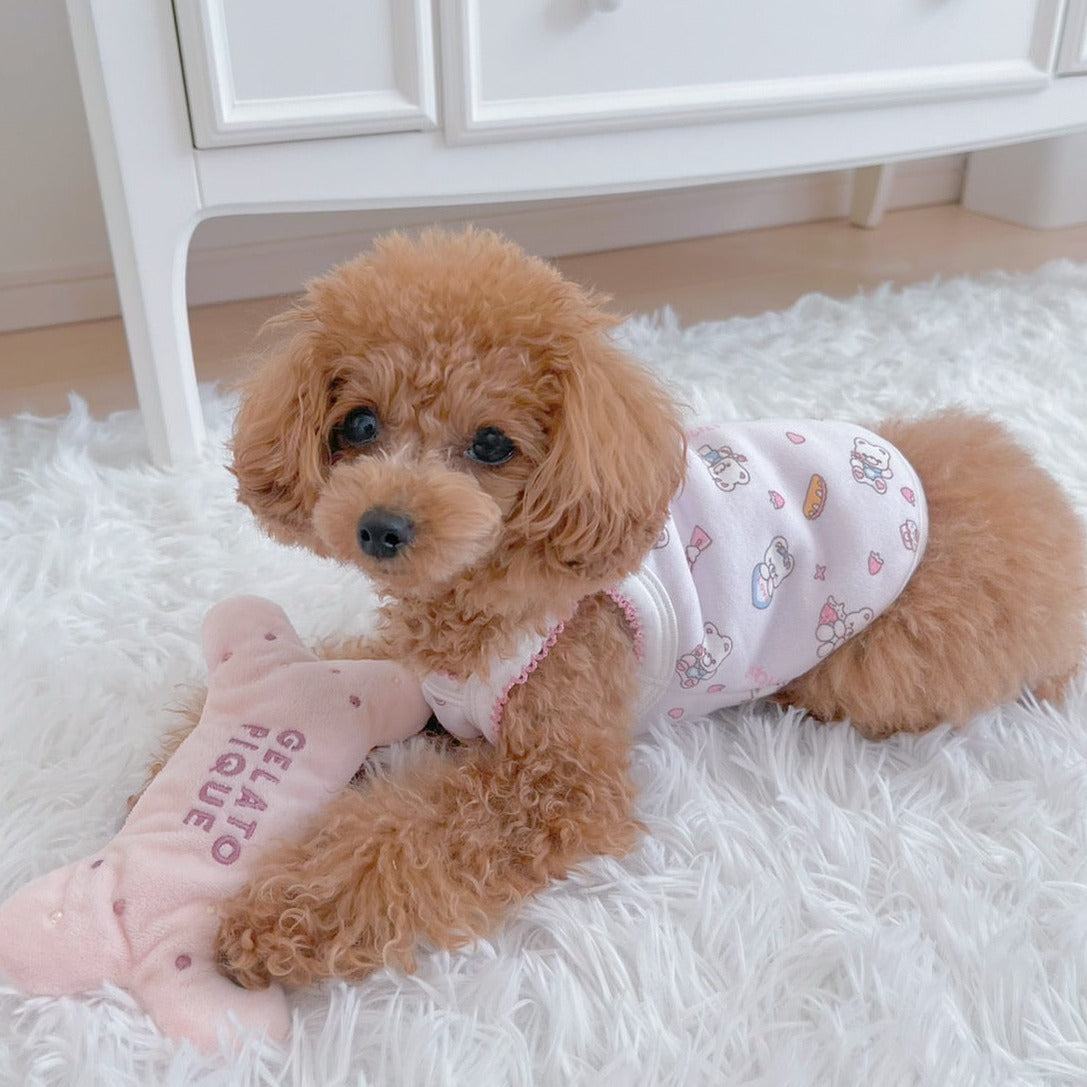 궁극적 인 가정 편안