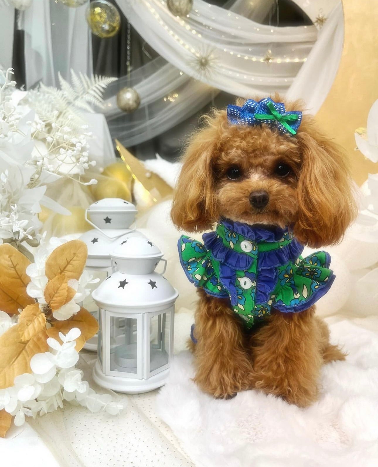タニウィナグリーンリーフローズレーストリムシャツ小さな犬用