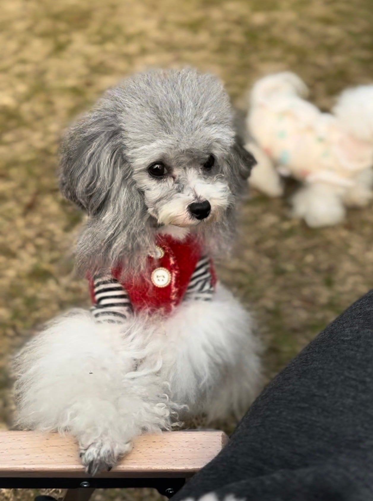 Taniwina 아늑한 줄무늬 편안한 티