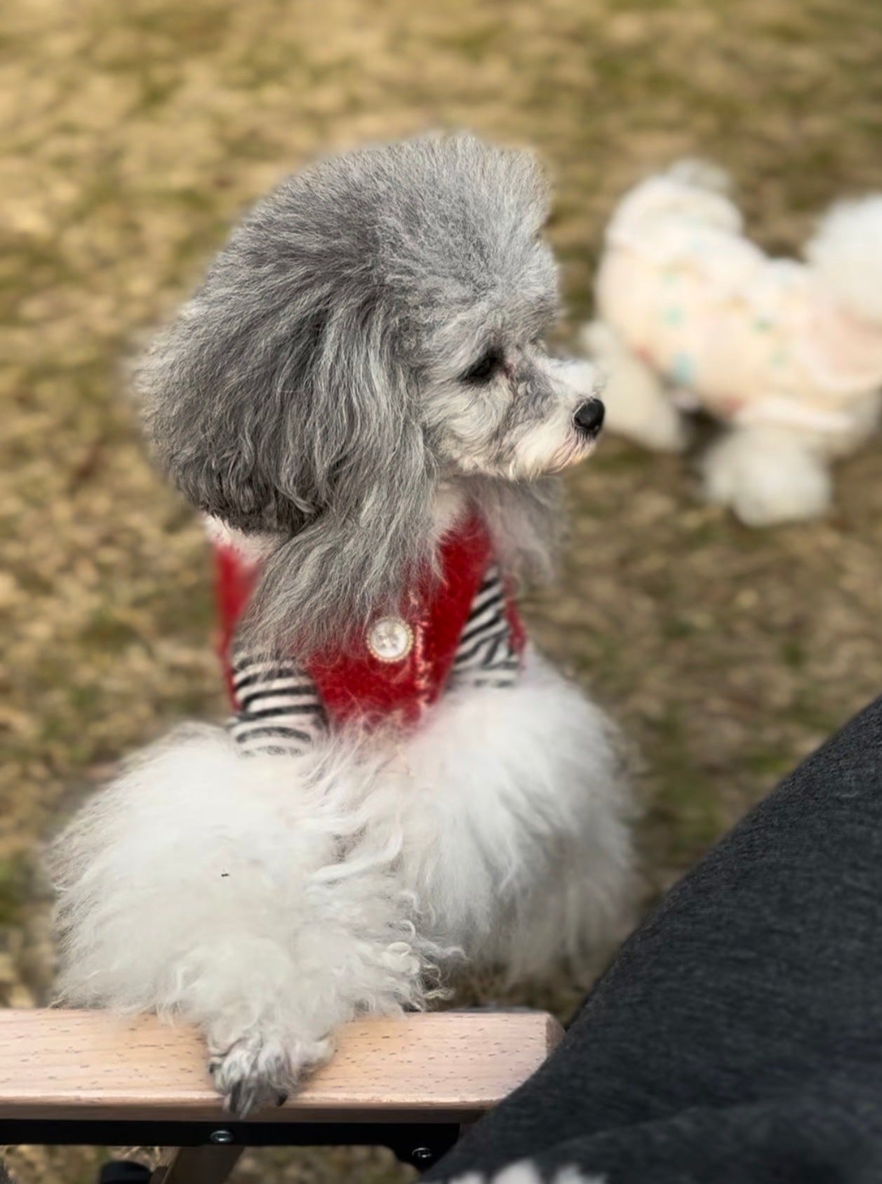 Taniwina 아늑한 줄무늬 편안한 티