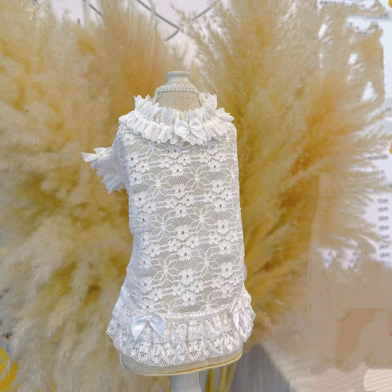 Taniwina Lace Blossom Ruffle 셔츠