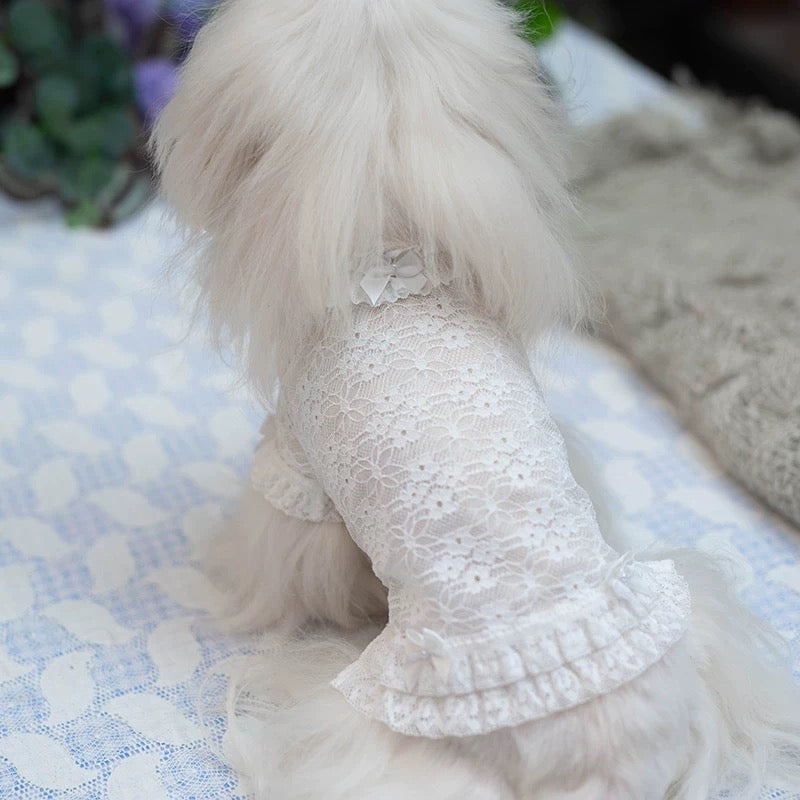 Taniwina Lace Blossom Ruffle 셔츠