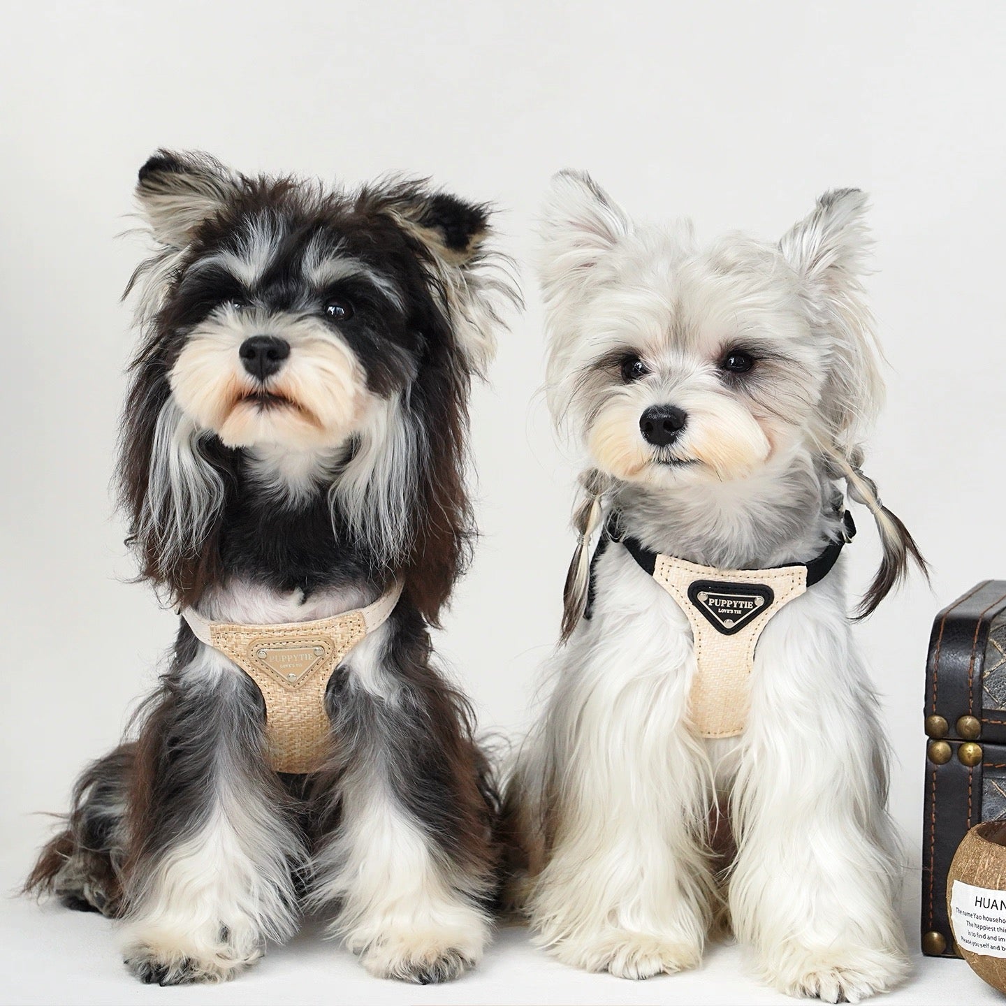 Puppytie 小型犬＆猫用編み込みクーリングペットハーネス – 軽量・通気性抜群・安心設計| Woven Cooling Pet Harness for Small Dogs & Cats – Lightweight, Breathable & Secure