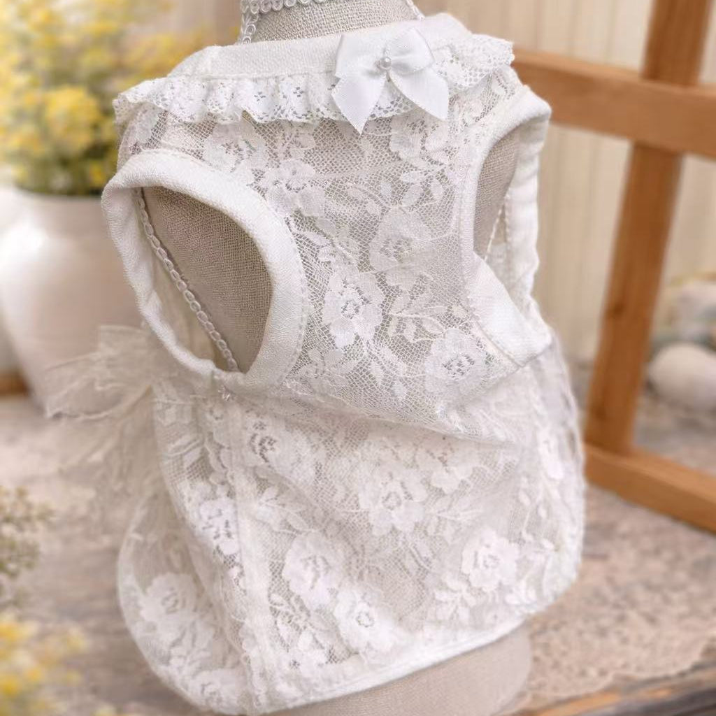 TaniWina Lace Flower Ribbon Dress (2 Colors)
