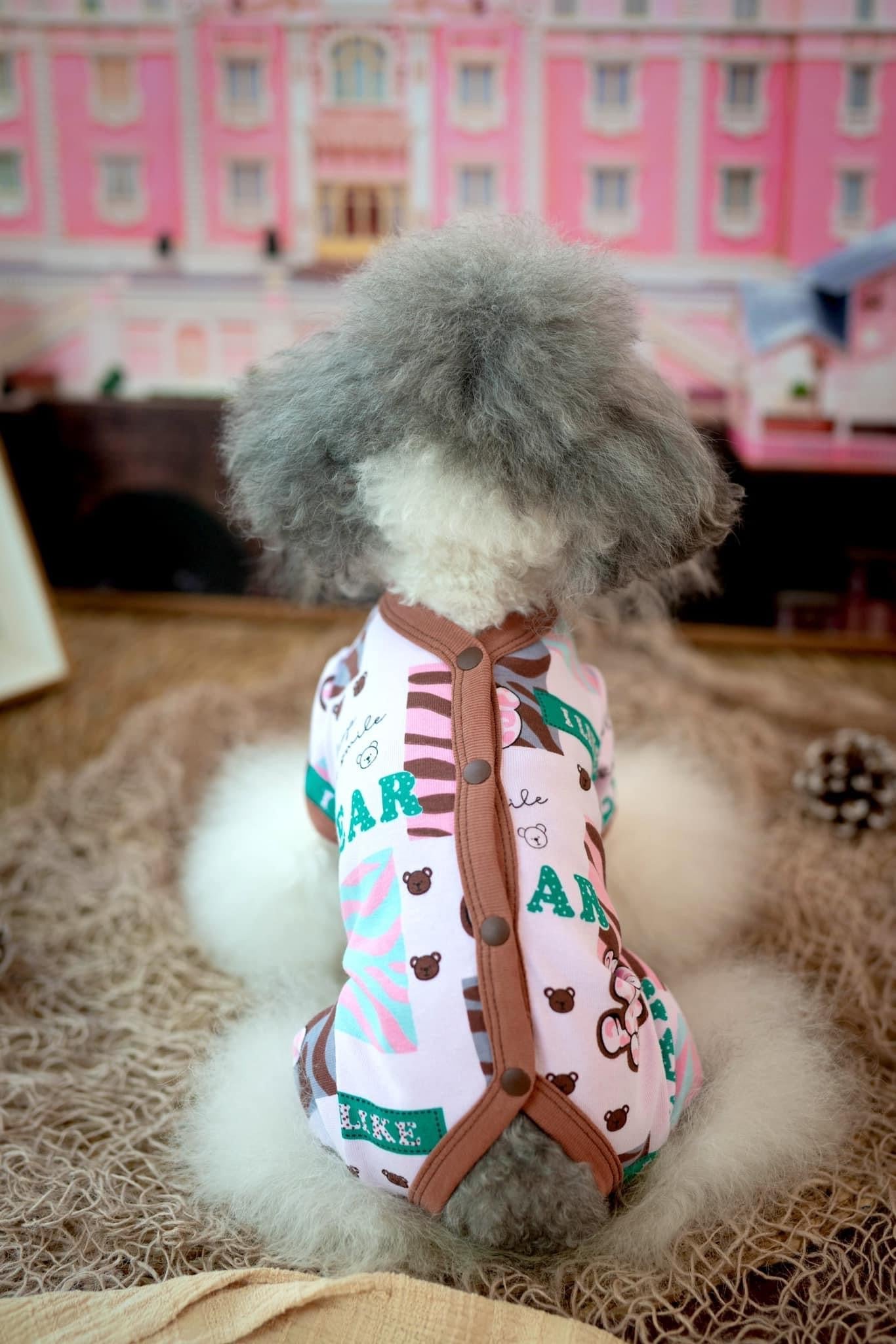 Taniwina Jungle Pawsアドベンチャーワンシー