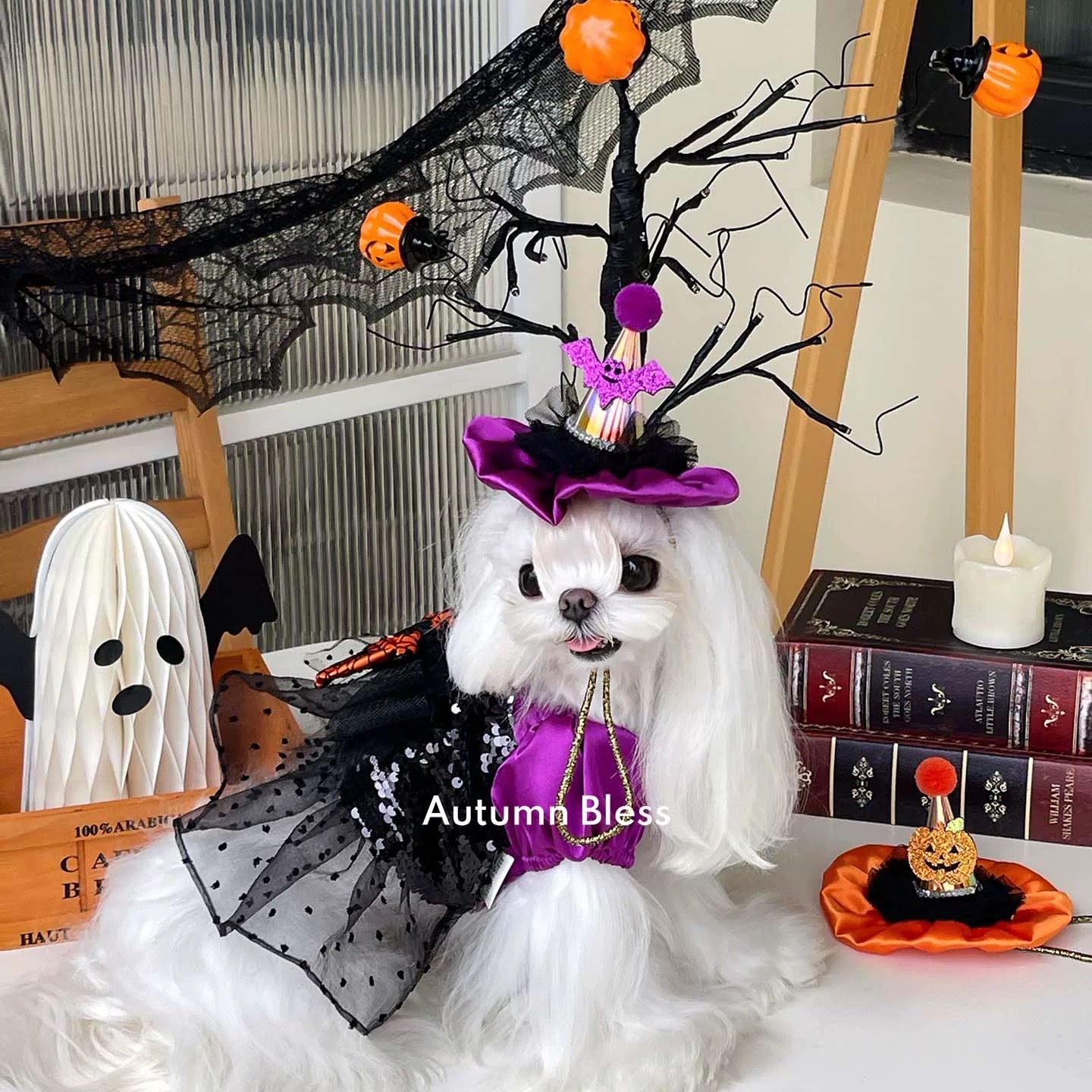 Autumn Bless ハロウィンスパークルウィッチドレス＆ハットセット |