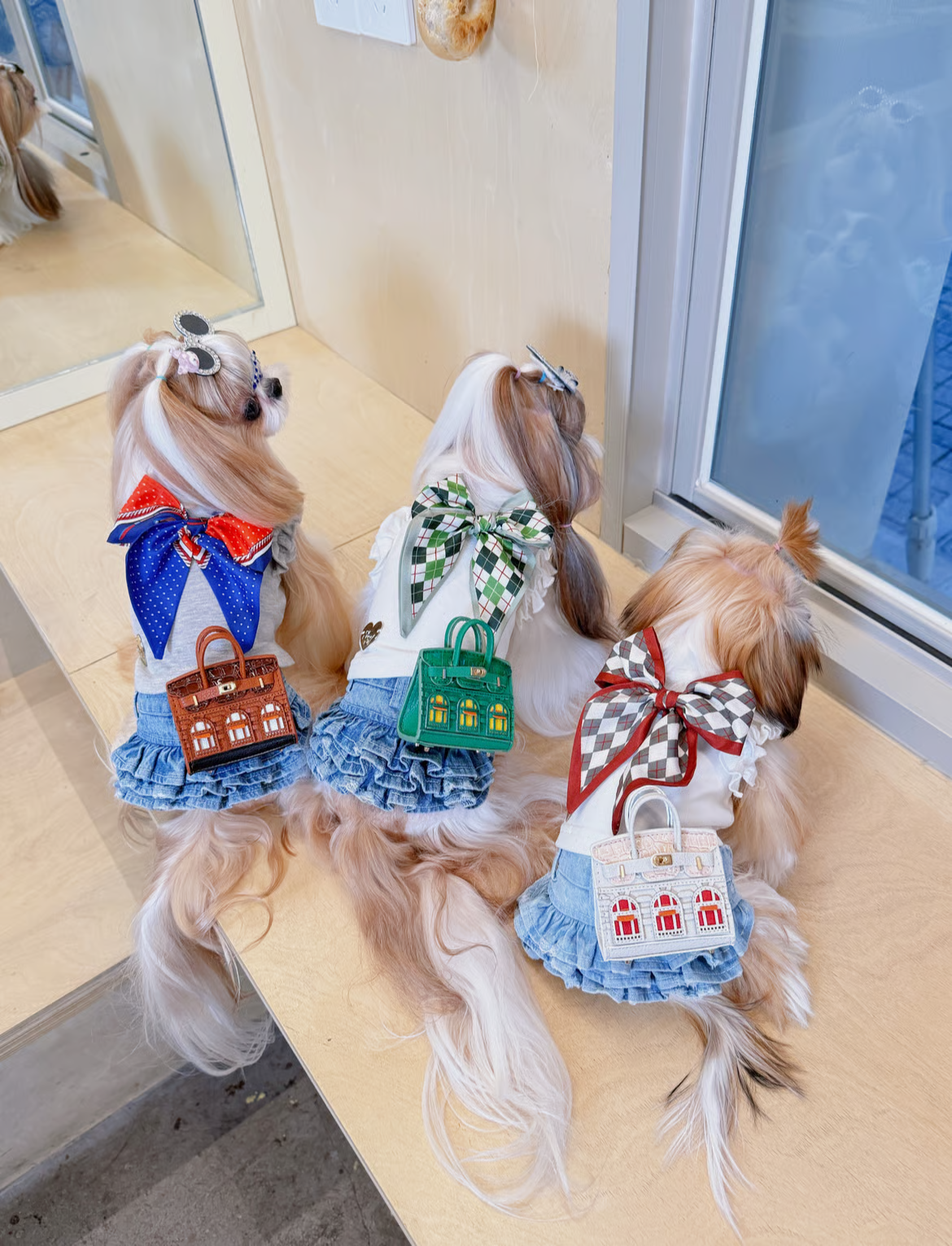 Fancy House Celeb Ribbon Shirt (with Scarf & Mini Bag)