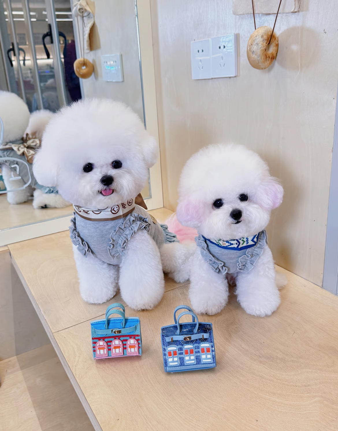 Fancy House Celeb Ribbon Shirt (with Scarf & Mini Bag)