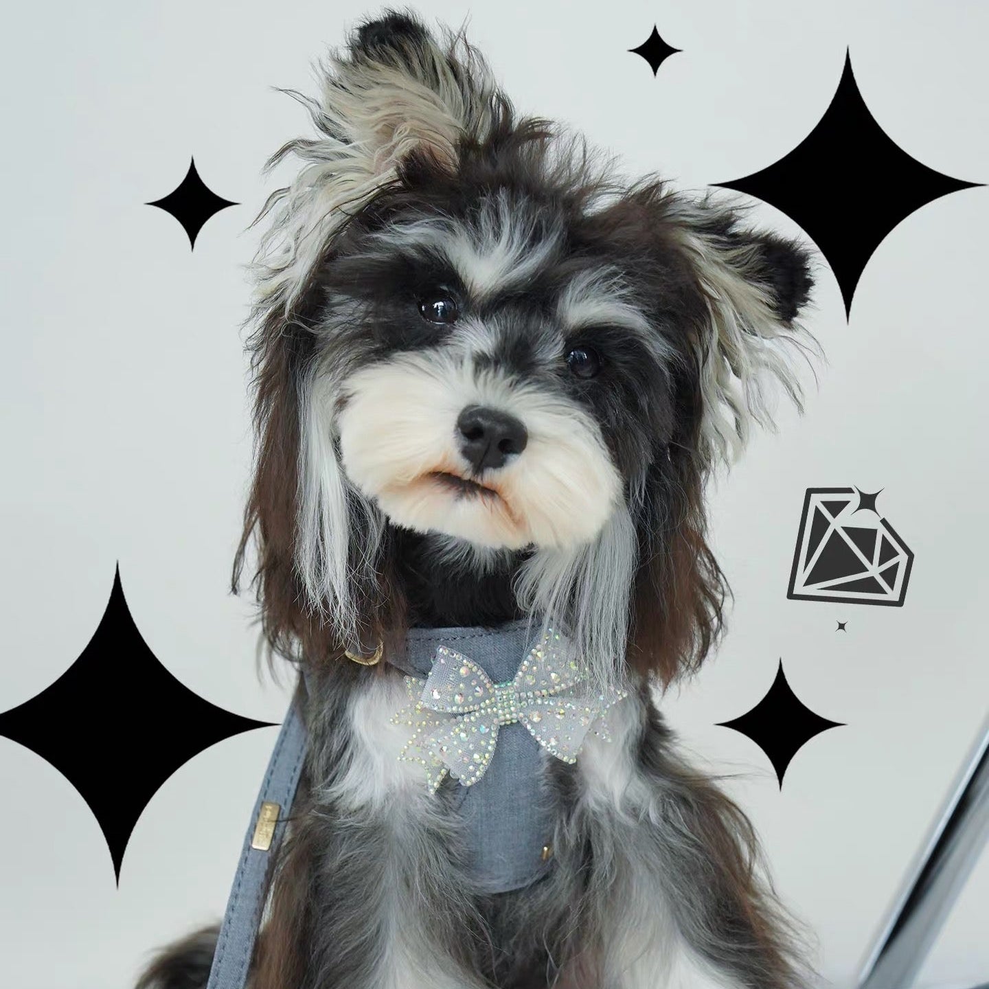 Puppytie スパークリングラインストーンボウドッグ＆キャットハーネス – 通気性のあるTR生地使用、スタイリッシュなペットベスト|スパークリングラインストーンボウドッグ＆キャットハーネス – 通気性のあるTR生地、スタイリッシュなペットベスト