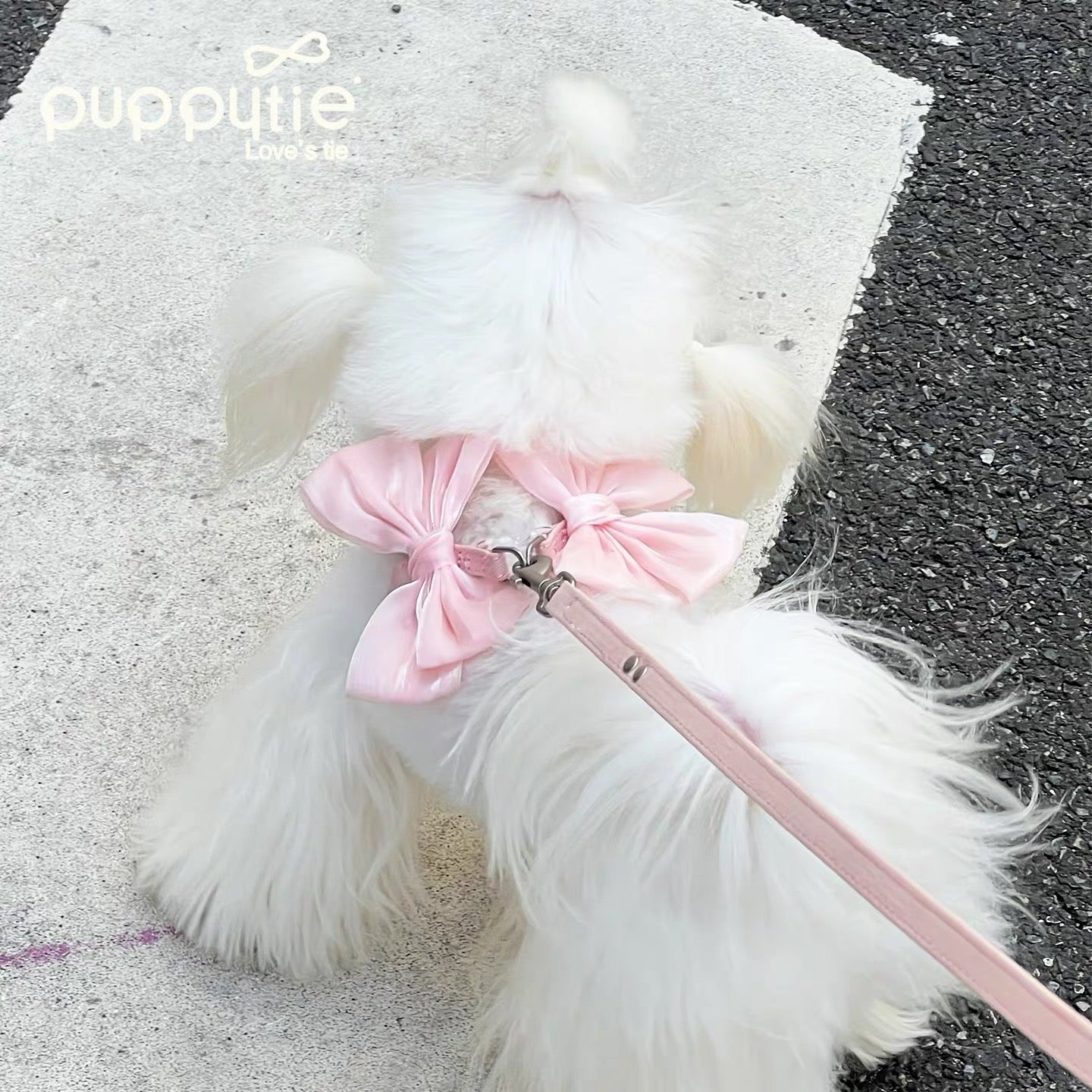 Puppytie ソフトピンクミラーレザーペットハーネス（リボン付き）| 猫＆小型犬用| Puppytie ソフト ピンク ミラー レザー ペット ハーネス 弓付き |猫と小型犬